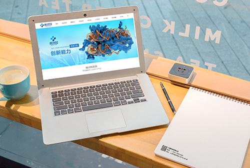 ���ױ���ҽҩ��